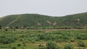 Home img 0993.jpg (1)